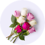 Flowers, Cards, Occasion