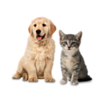 Pet Care